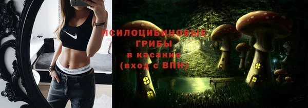 дмт Зерноград