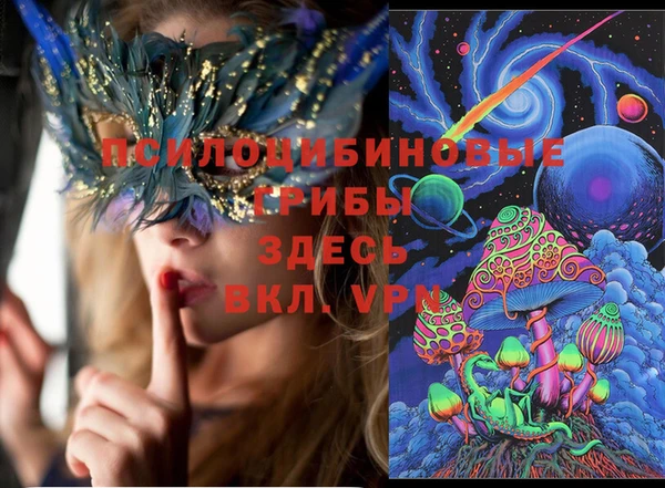 прущие крисы Зеленодольск