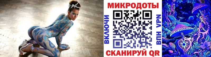 Купить закладки  Новотроицк  Галлюциногенные грибы Psilocybine cubensis 